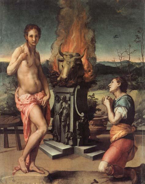 Agnolo Bronzino Pygmalion and Galatea Sweden oil painting art